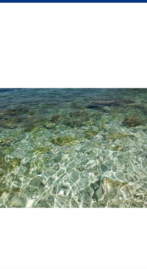 Amos At Aquamarine * Vlorë